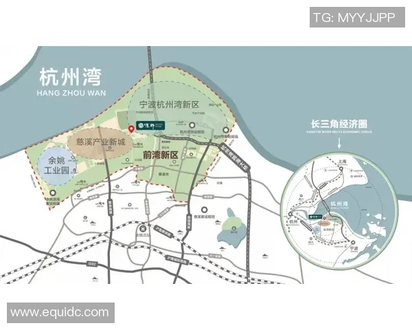 杭州排球队状态对比深度解析及未来发展趋势探讨